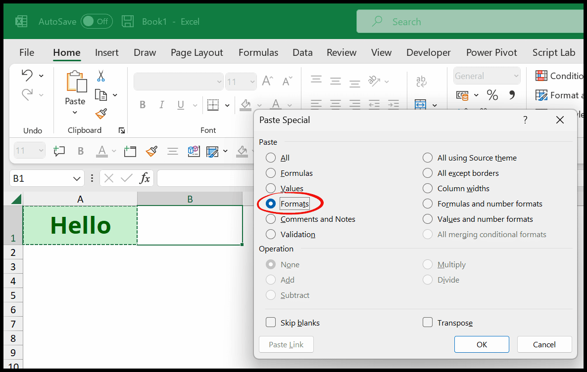 Formatierung-in-Excel kopieren
