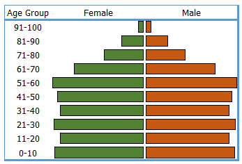 simple population pyramid chart in excel with conditional formatting